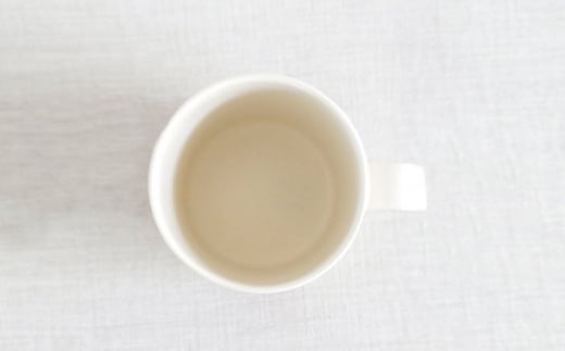 【波佐見焼】フレッシュアート  マグカップ  4柄セット 〈リンゴ・レモン・ビーン・ラディッシュ〉【菊祥陶器】 [OAQ045]