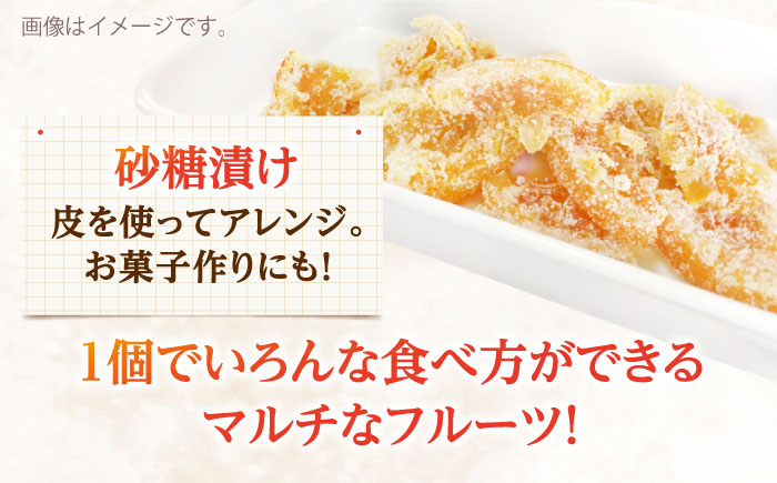 ぷりぷりで爽やかな香り！ 紅まどか 4個入り【おおたに農園】 [OBP001]