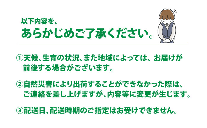 訳あり 原口みかん 5kg【おおたに農園】 [OBP002]
