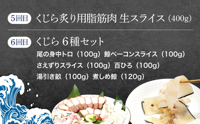 【6回定期便】贅沢三昧くじら食べ比べ定期便【中島(鯨)商店】[OBR014] / 鯨肉 くじら 魚介 海鮮