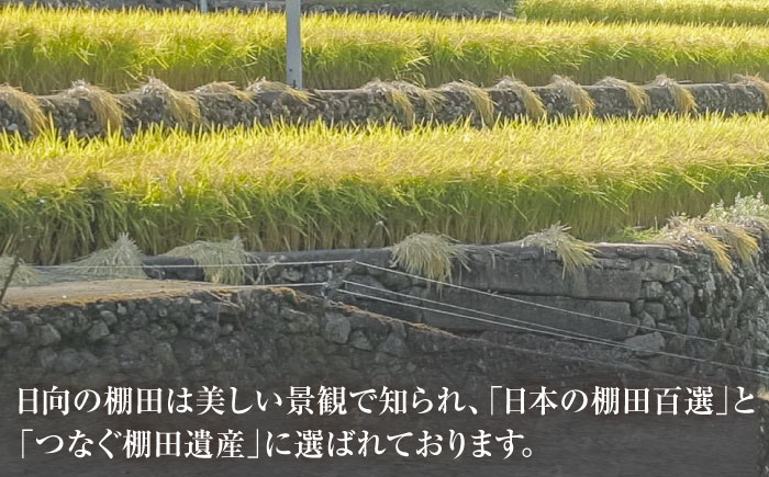 虚空蔵の清流水で育った棚田米『ひなた米』 6kg(2kg×3袋) 真空パック 【木場地区棚田保全協議会】[OCC018] / 米 白米 精米 ひなた米 棚田米 お米 おこめ ごはん はくまい 日向の棚田米 米 おいしい米 ライス