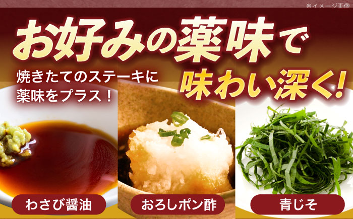 【4回定期便】長崎和牛サーロインステーキ 約1kg(250g×4枚)【株式会社 黒牛】 [OCE050] / 長崎県産和牛 牛肉 サーロインステーキ 国産牛 牛肉 サーロインステーキ 牛 肉 サーロインステーキ サーロイン ステーキ ぎゅうにく A4ランクサーロインステーキ 上質牛肉 高級