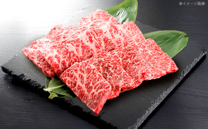 【12回定期便】長崎和牛 焼肉用 赤身スライス600g (モモ・ウデ 各300g)【株式会社 黒牛】[OCE099] / 牛肉 スライス 赤身スライス  国産牛 長崎和牛 牛肉 スライス 赤身スライス 国産牛 長崎和牛