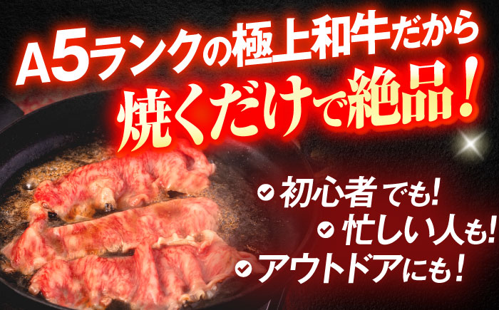 長崎和牛A5ランク極上サーロインスライス（400ｇ）【肉のあいかわ】[OCH017] / 牛肉 スライス 赤身スライス  国産牛 長崎和牛 牛肉 スライス 赤身スライス 国産牛 長崎和牛