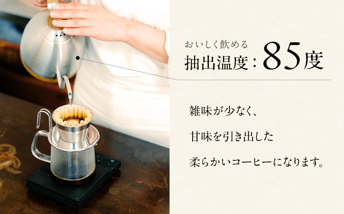 【3回定期便】スペシャルティコーヒー詰め合わせ　150g×2袋 【海と猫。】 [OCK002]