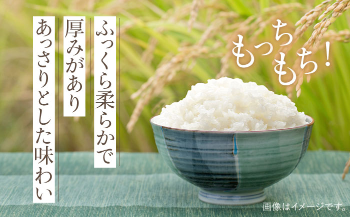 令和6年産 新米 ヒノヒカリ 10kg 【Mt.Gファーム】 [OCX004]