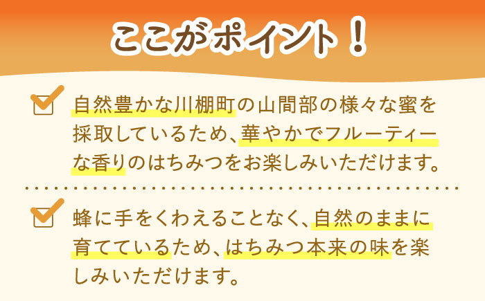 はちみつ 百花蜜500g ＆ みかん蜜500g/ 蜂蜜 国産 とんがり容器 入り 長崎県 川棚町産 【小佐々養蜂場】 [OCY005]