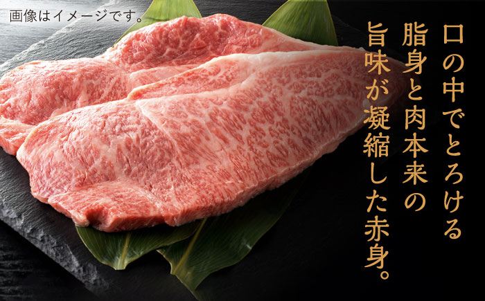 【12回定期便】希少部位アリ！ 長崎和牛 バラエティ 部位 セット 毎回1kg ×12回 /長崎県産和牛 牛肉 国産牛【川下精肉店】 [OAA019]