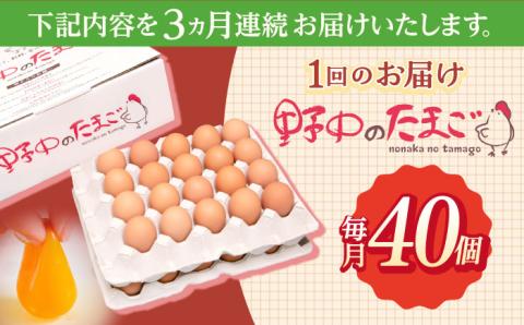 【3回定期便】産みたて新鮮卵 野中のたまご  40個×3回 計120個【野中鶏卵】 [OAC004] /卵 たまご 高級卵 卵焼き 卵かけご飯 たまご 濃厚たまご タマゴ