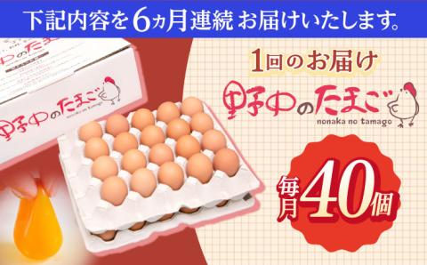 【6回定期便】産みたて新鮮卵 野中のたまご  40個×6回 計240個【野中鶏卵】[OAC005] /卵 たまご 高級卵 卵焼き 卵かけご飯 たまご 濃厚たまご
