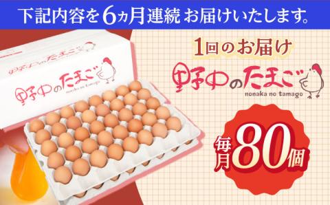 【6回定期便】産みたて新鮮卵 野中のたまご  80個×6回 計480個【野中鶏卵】 [OAC008] /卵 たまご 高級卵 卵焼き 卵かけご飯 たまご 濃厚たまご タマゴ