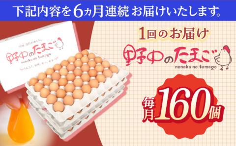 【6回定期便】産みたて新鮮卵 野中のたまご  160個×6回 計960個【野中鶏卵】 [OAC011] /卵 たまご 高級卵 卵焼き 卵かけご飯 たまご 濃厚たまご タマゴ