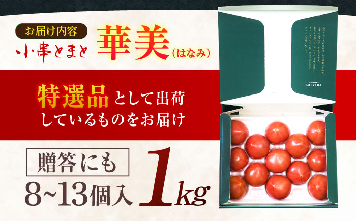 【先行受付】最高級特選 小串トマト 約1kg【東彼新鮮市場】[OAE001] とまと トマト 1万円台 甘い