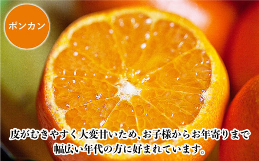 【数量限定】ポンカン&スィートスプリング 食べ比べセット 約9kg / みかん 柑橘 ミカン かんきつ 果物  フルーツ【長崎ぶんたんの会】 [OAF009]