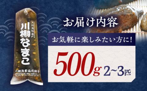 【先行受付】川棚 なまこ 約500g※2025年12月中旬以降発送】【森水産】[OAI002] / 大村湾で採れる 高級 新鮮 ナマコ おつまみ 魚介
