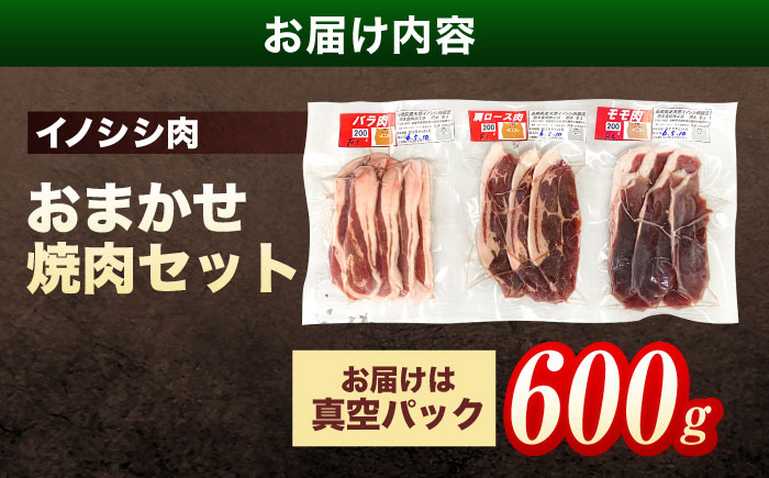 ジビエ 天然イノシシ肉 おまかせ焼肉セット 600g （ロース・モモ・バラ）【照本食肉加工所】 [OAJ004]