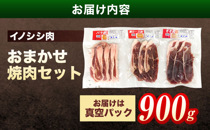 ジビエ 天然イノシシ肉 おまかせ焼肉セット 900g （ロース・モモ・バラ）【照本食肉加工所】 [OAJ005]