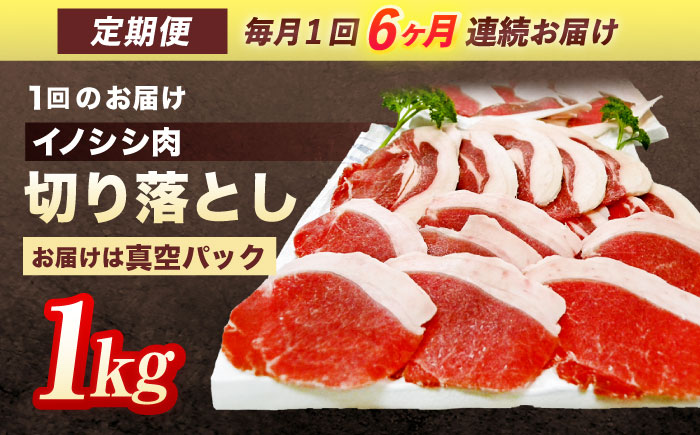 【6回定期便】ジビエ 天然イノシシ肉 切り落とし1kg（ぼたん鍋・煮込料理・野菜炒め用等）【照本食肉加工所】 [OAJ020]
