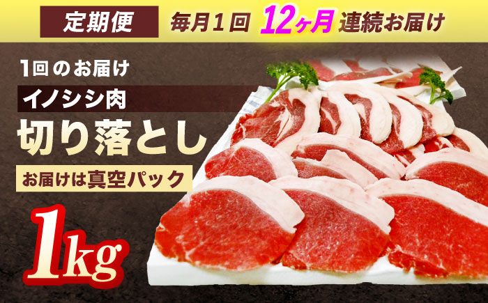 【12回定期便】ジビエ 天然イノシシ肉 切り落とし1kg（ぼたん鍋・煮込料理・野菜炒め用等）【照本食肉加工所】 [OAJ021]