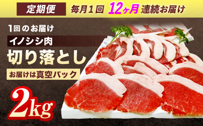 【12回定期便】ジビエ 天然イノシシ肉 切り落とし2kg（ぼたん鍋・煮込料理・野菜炒め用等）【照本食肉加工所】 [OAJ024]