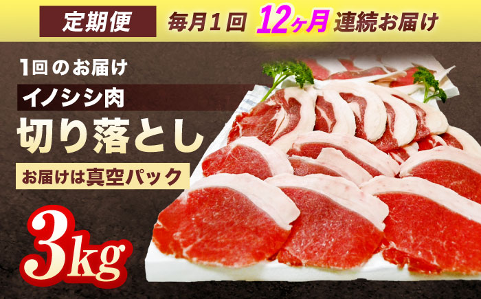 【12回定期便】ジビエ 天然イノシシ肉 切り落とし3kg（ぼたん鍋・煮込料理・野菜炒め用等）【照本食肉加工所】 [OAJ027]