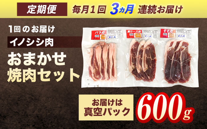 【3回定期便】ジビエ 天然イノシシ肉 おまかせ焼肉セット 600g （ロース・モモ・バラ）【照本食肉加工所】 [OAJ028]