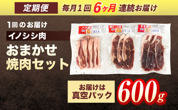 【6回定期便】ジビエ 天然イノシシ肉 おまかせ焼肉セット 600g （ロース・モモ・バラ）【照本食肉加工所】 [OAJ029]