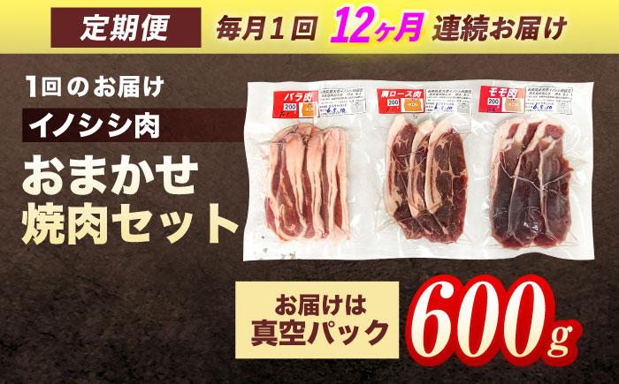 【12回定期便】ジビエ 天然イノシシ肉 おまかせ焼肉セット 600g （ロース・モモ・バラ）【照本食肉加工所】 [OAJ030]
