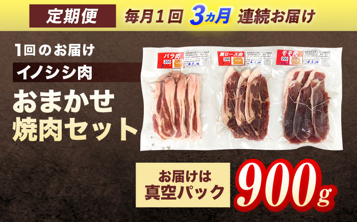 【3回定期便】ジビエ 天然イノシシ肉 おまかせ焼肉セット 900g （ロース・モモ・バラ）【照本食肉加工所】 [OAJ031]