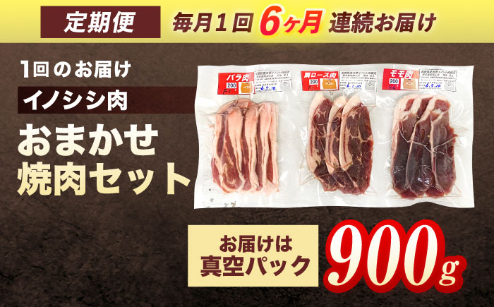 【6回定期便】ジビエ 天然イノシシ肉 おまかせ焼肉セット 900g （ロース・モモ・バラ）【照本食肉加工所】 [OAJ032]