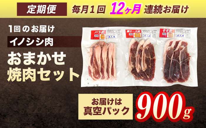 【12回定期便】ジビエ 天然イノシシ肉 おまかせ焼肉セット 900g （ロース・モモ・バラ）【照本食肉加工所】 [OAJ033]