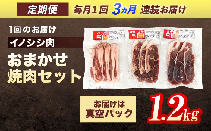 【3回定期便】ジビエ 天然イノシシ肉 おまかせ焼肉セット 1.2kg （ロース・モモ・バラ）【照本食肉加工所】 [OAJ034]