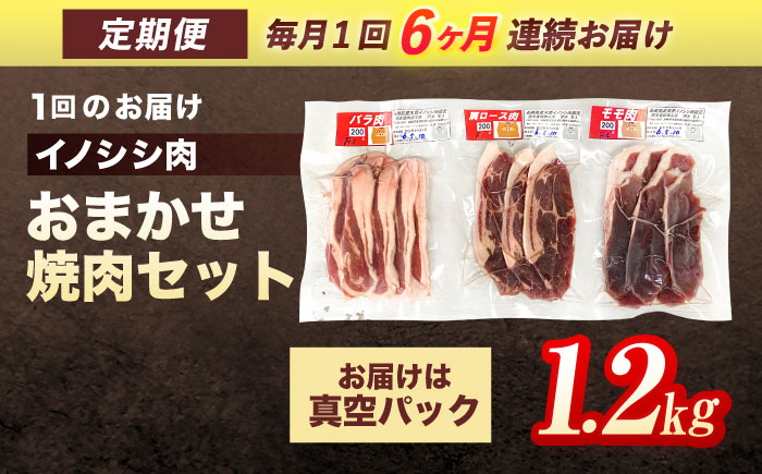 【6回定期便】ジビエ 天然イノシシ肉 おまかせ焼肉セット 1.2kg （ロース・モモ・バラ）【照本食肉加工所】 [OAJ035]