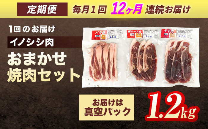 【12回定期便】ジビエ 天然イノシシ肉 おまかせ焼肉セット 1.2kg （ロース・モモ・バラ）【照本食肉加工所】 [OAJ036]