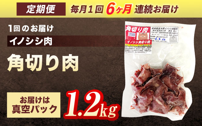 【6回定期便】ジビエ 天然イノシシ肉 角切り肉 1.2kg（カレー・シチュー）【照本食肉加工所】 [OAJ065]