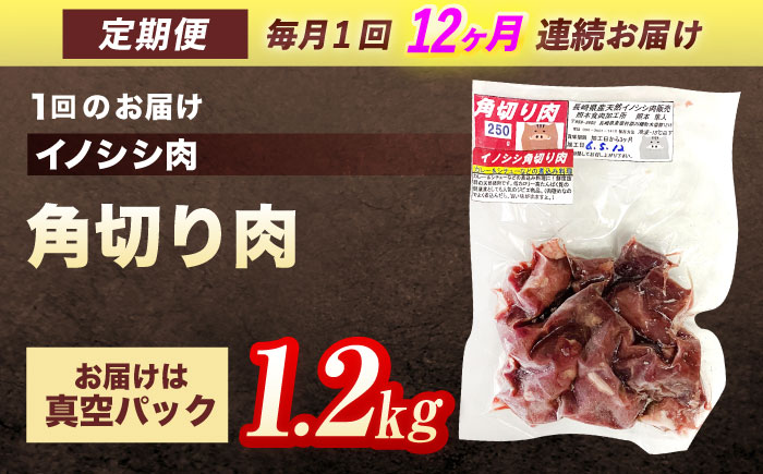【12回定期便】ジビエ 天然イノシシ肉 角切り肉 1.2kg（カレー・シチュー）【照本食肉加工所】 [OAJ066]