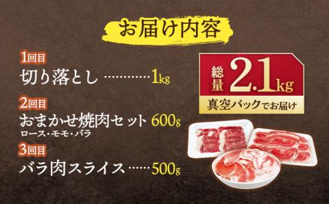 【3回定期便】ジビエ 天然 猪肉 人気部位 総量2.1kg【照本食肉加工所】[OAJ074] / 猪肉 いのしし  猪 猪鍋 ぼたん鍋 肉 切り落とし肉 スライス肉 ミンチ肉 いのしし肉