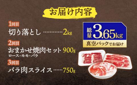 【3回定期便】ジビエ 天然 猪肉 人気部位 総量3.65kg【照本食肉加工所】[OAJ076] / 猪肉 いのしし  猪 猪鍋 ぼたん鍋 肉 切り落とし肉 スライス肉 ミンチ肉 いのしし肉