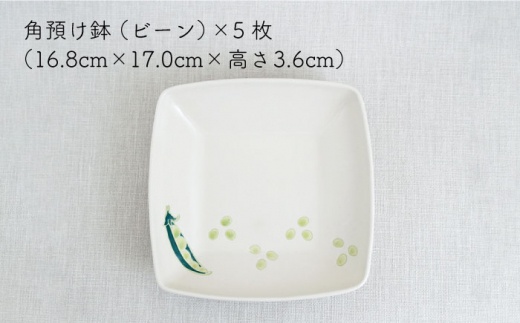 【波佐見焼】フレッシュアート 角預け鉢 〈ビーン〉 5枚【菊祥陶器】[OAQ005] / 陶器 食器 プレート お皿 波佐見焼