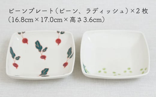 【波佐見焼】フレッシュアート 角預け 鉢 2柄セット〈ビーン・ラディッシュ〉 [OAQ049]