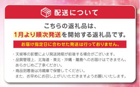 【2024年1?3月発送！】いちご 『ゆめのか』 280g×2パック 栽培期間中：農薬不使用 【道上農園】[OBE003]