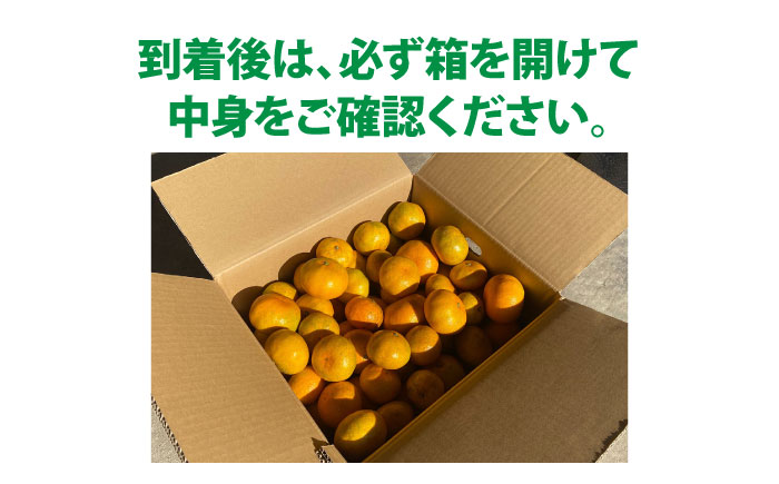 訳あり 原口みかん 5kg【おおたに農園】 [OBP002]