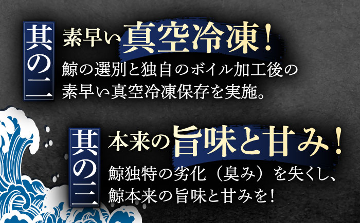 【6回定期便】調理用部位定期便（煮しめ鯨・炙り用脂筋肉スライス・特上ゆかけ鯨（畝）） [OBR019]