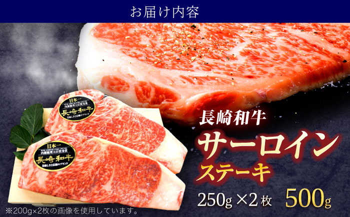 長崎和牛サーロインステーキ 約500g(250g×2枚)【株式会社 黒牛】 [OCE045] / 長崎県産和牛 牛肉 サーロインステーキ 国産牛 牛肉 サーロインステーキ 牛 肉 サーロインステーキ サーロイン ステーキ ぎゅうにく A4ランクサーロインステーキ 上質牛肉 高級