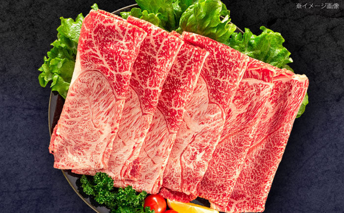 【3回定期便】長崎和牛 すき焼き・しゃぶしゃぶ用 赤身スライス600g (モモ・ウデ 各300g)【株式会社 黒牛】[OCE093] / 牛肉 スライス 赤身スライス  国産牛 長崎和牛 牛肉 スライス 赤身スライス 国産牛 長崎和牛