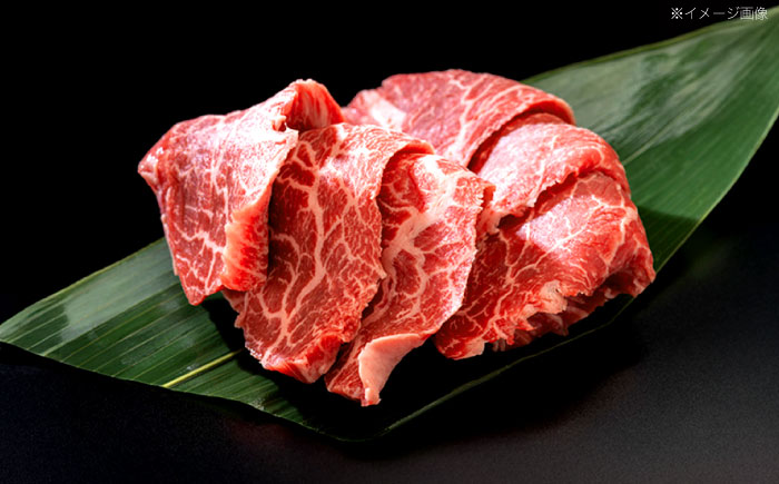 【6回定期便】長崎和牛 焼肉用 赤身スライス600g (モモ・ウデ 各300g)【株式会社 黒牛】[OCE098] / 牛肉 スライス 赤身スライス  国産牛 長崎和牛 牛肉 スライス 赤身スライス 国産牛 長崎和牛