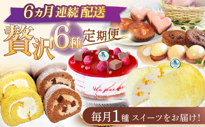 【6回定期便】焼き菓子・ケーキ贅沢6種お届け便（焼き菓子4種・レモンケーキ・ロールケーキ2種・リアンハート・ババロアケーキ・クランベリーレアチーズケーキ）/ スイーツ 焼き菓子 洋菓子 [OAD026]
