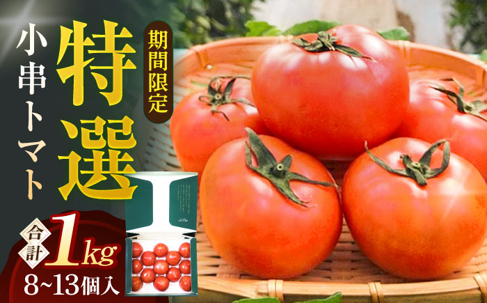 【先行受付】最高級特選 小串トマト 約1kg【東彼新鮮市場】[OAE001] とまと トマト 1万円台 甘い