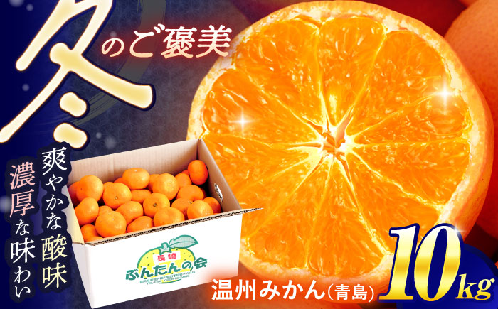 【数量限定】高糖度系 温州みかん(青島) 約10kg / ミカン 蜜柑 柑橘 みかん 果物 くだもの フルーツ【長崎ぶんたんの会】 [OAF006] ミカン 柑橘 果物  フルーツ
