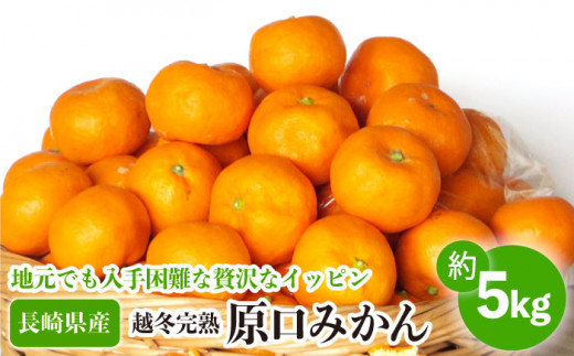 【数量限定】越冬完熟 原口 みかん 約5kg 完熟ミカン ミカン 柑橘 みかん 果物  フルーツ【長崎ぶんたんの会】 [OAF010]